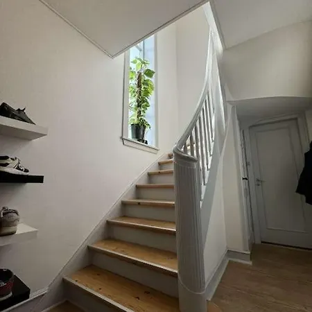 Exotic Basement In The Center Of *