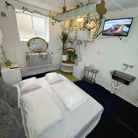 Exotic Basement In The Center Of *