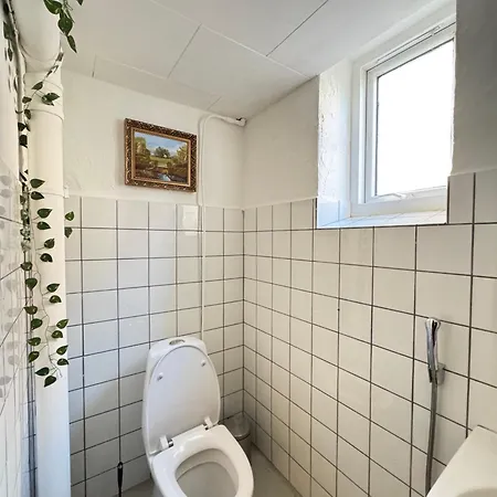 Exotic Basement In The Center Of